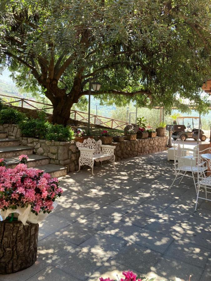Agriturismo Nonno Luigino Vico Equense Ngoại thất bức ảnh
